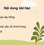 Công Nghệ 10 Bài 2 Cây Trồng Và Các Yếu Tố Chính Trong Trồng Trọt Violet